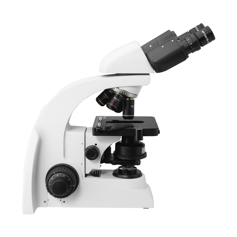 Biological Microscope